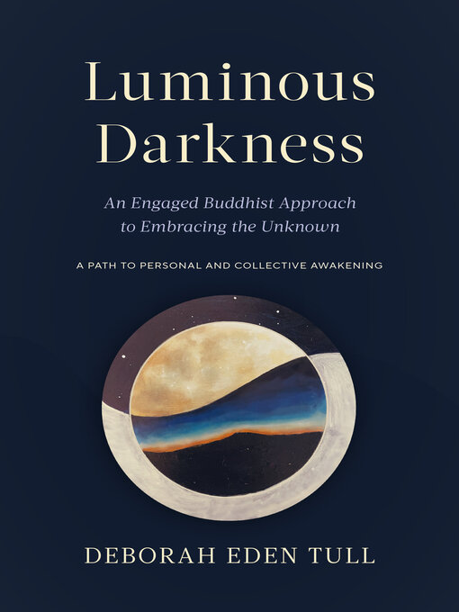 Cover image for Luminous Darkness